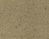 Parade Colour King 142 