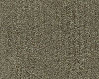 Parade Colour King 149