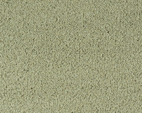 Parade Colour King 129