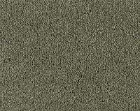 Parade Colour King 195