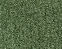 Parade Colour King 122