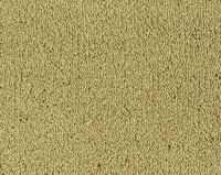 Parade Colour King 176