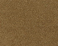 Parade Colour King 141