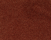 Parade Colour King 111