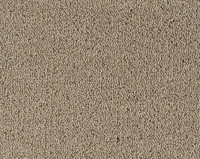 Parade Colour King 138 