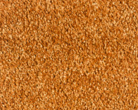 Parade Entrada Silky 5321