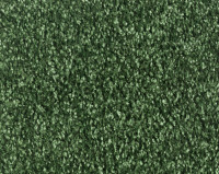 Parade Entrada Silky 7841