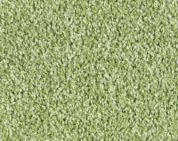 Parade Entrada Silky 7863