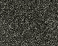 Parade Soft Sensation 192