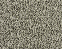 Parade Touch eXtra 121