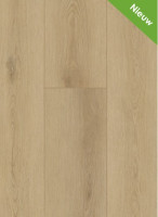 Firmfit 6500 Sierra Light Dryback Gelasta 