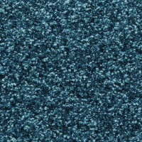 Passion 21180 Nouwens Bogaers Tapijt 