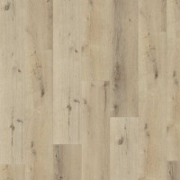 Palazzo 150 Dryback Belakos 