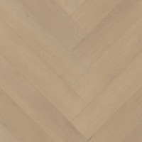 Palazzo 77 Visgraat XL Dryback Belakos 