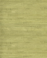 Natural Wallcoverings III 303502 - 5.50 x 0.91 m Eijffinger Behang 