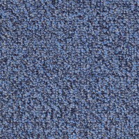 Magic 80198 Nouwens Bogaers Tapijt 