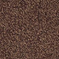 Magic 80788 Nouwens Bogaers Tapijt 