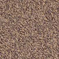 Magic 80778 Nouwens Bogaers Tapijt 