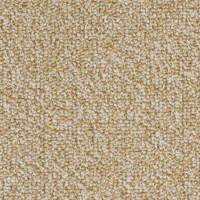 Magic 80648 Nouwens Bogaers Tapijt 