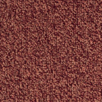 Magic 80578 Nouwens Bogaers Tapijt 