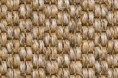 /products/safari-37191/