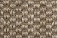 /products/safari-37471/
