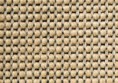 /products/santos-5404-cunera/