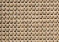 /products/santos-5410-cunera/